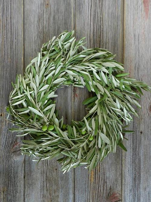 16 IN FRESH OLIVE BRANCH GREEN WREATH